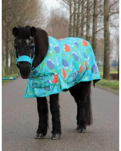 Harry and Hector Hedgehog Pony Rain rug