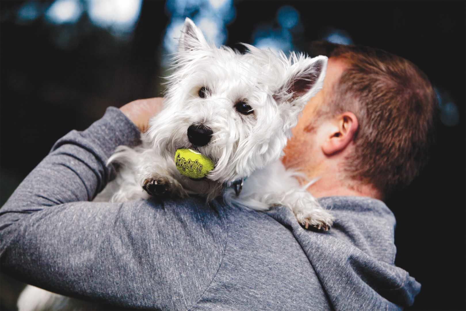 Air Squeaker tennis ball XS 3db