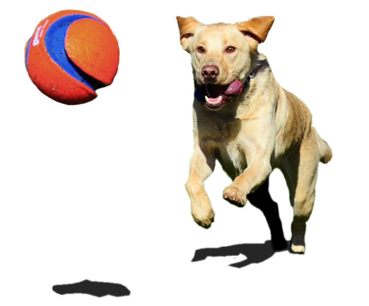 Kick Fetch 19 cm dog ball