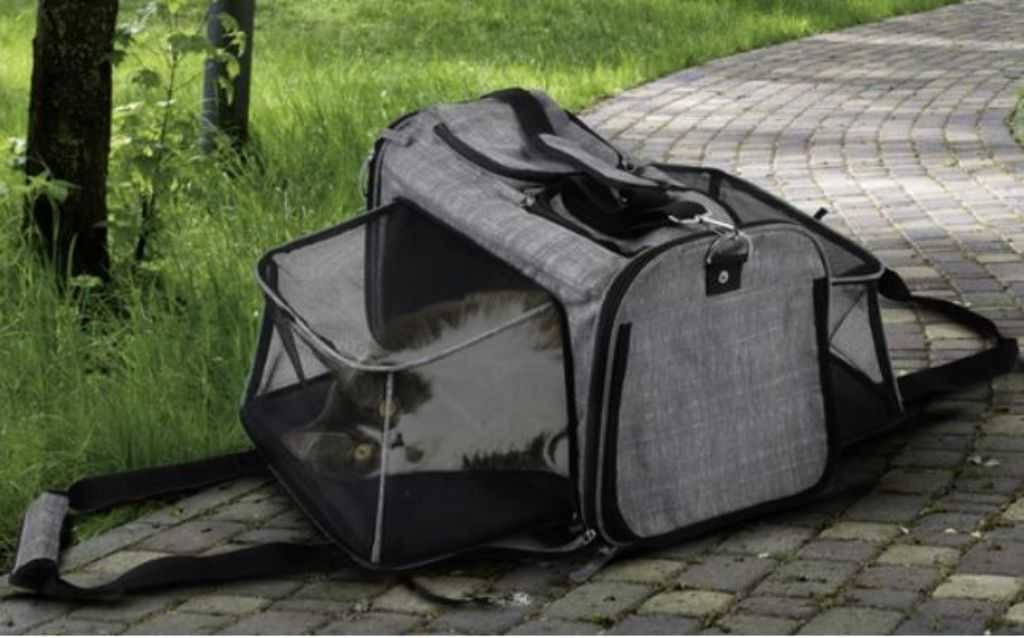 Rolling animal carrier