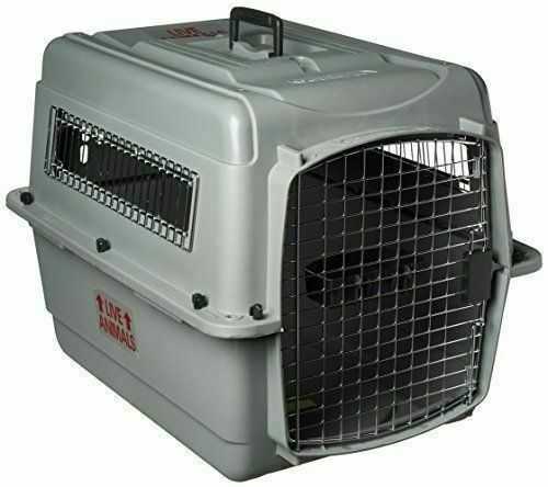 Sky travelling with dog kennel XL