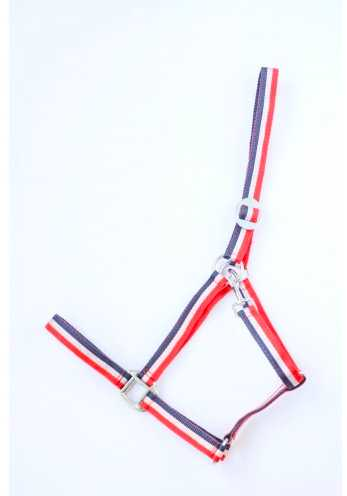 Apollo Nylon headcollar