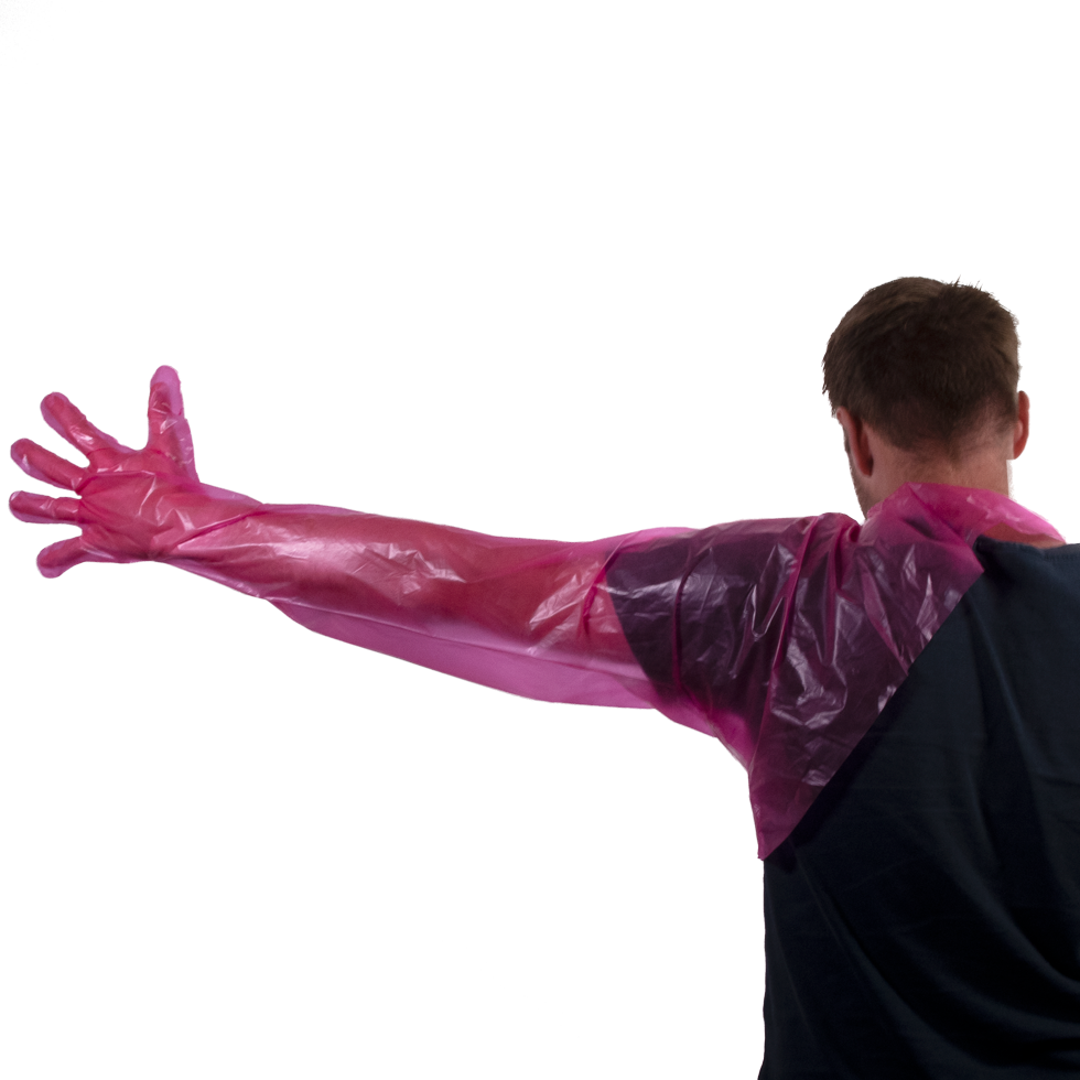 Disposable gloves, Shoulder-length, cattle birth, calving