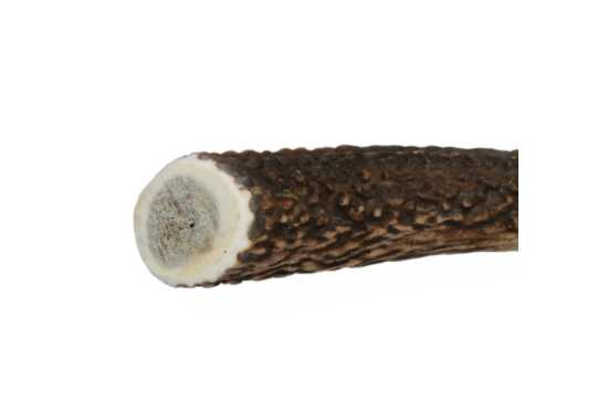 Antler chew toy XL