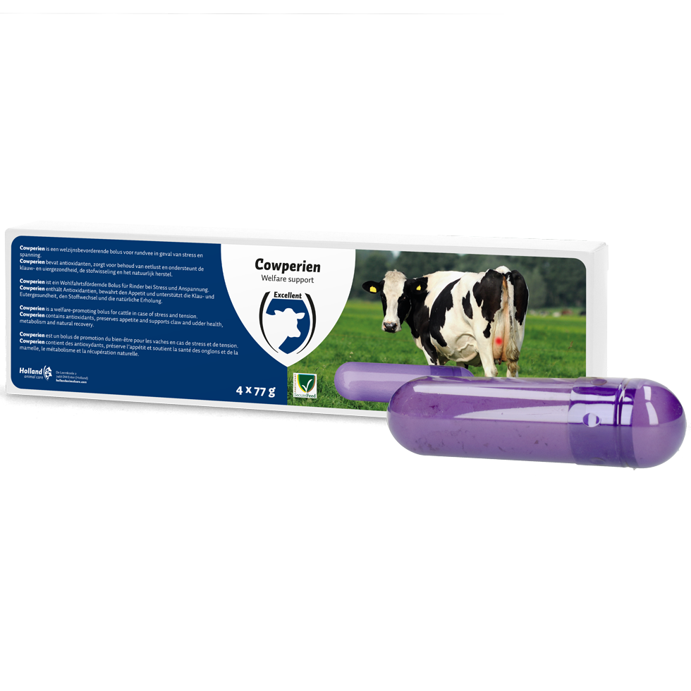 Cowperien Bolus supplementary feed, cattle boluses, minerals