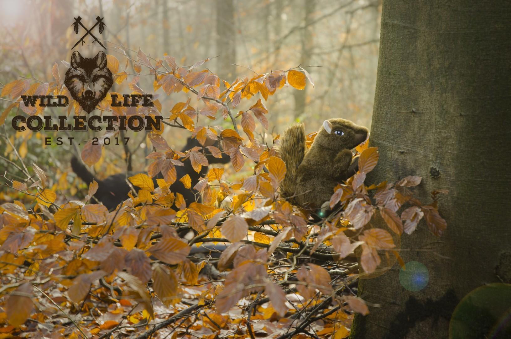 Squirrel dog toy plush