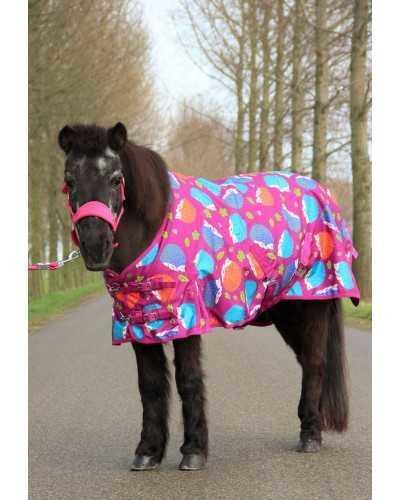 Harry and Hector Hedgehog Pony Rain rug