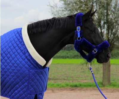 Showtime Desira horse rug