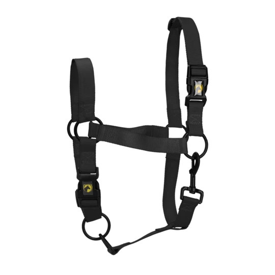 Monza headcollar, halter