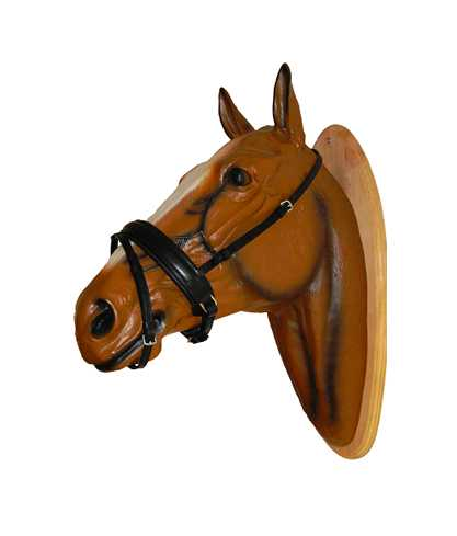 Extra wide combined noseband
