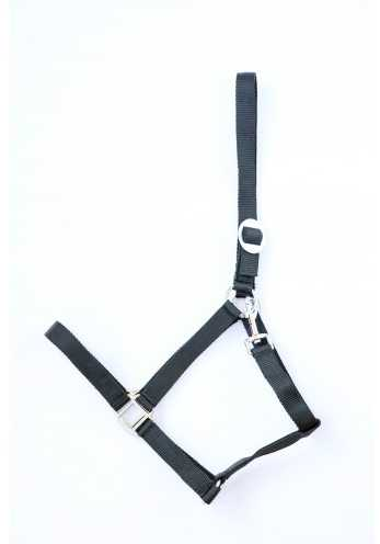 Apollo Nylon headcollar