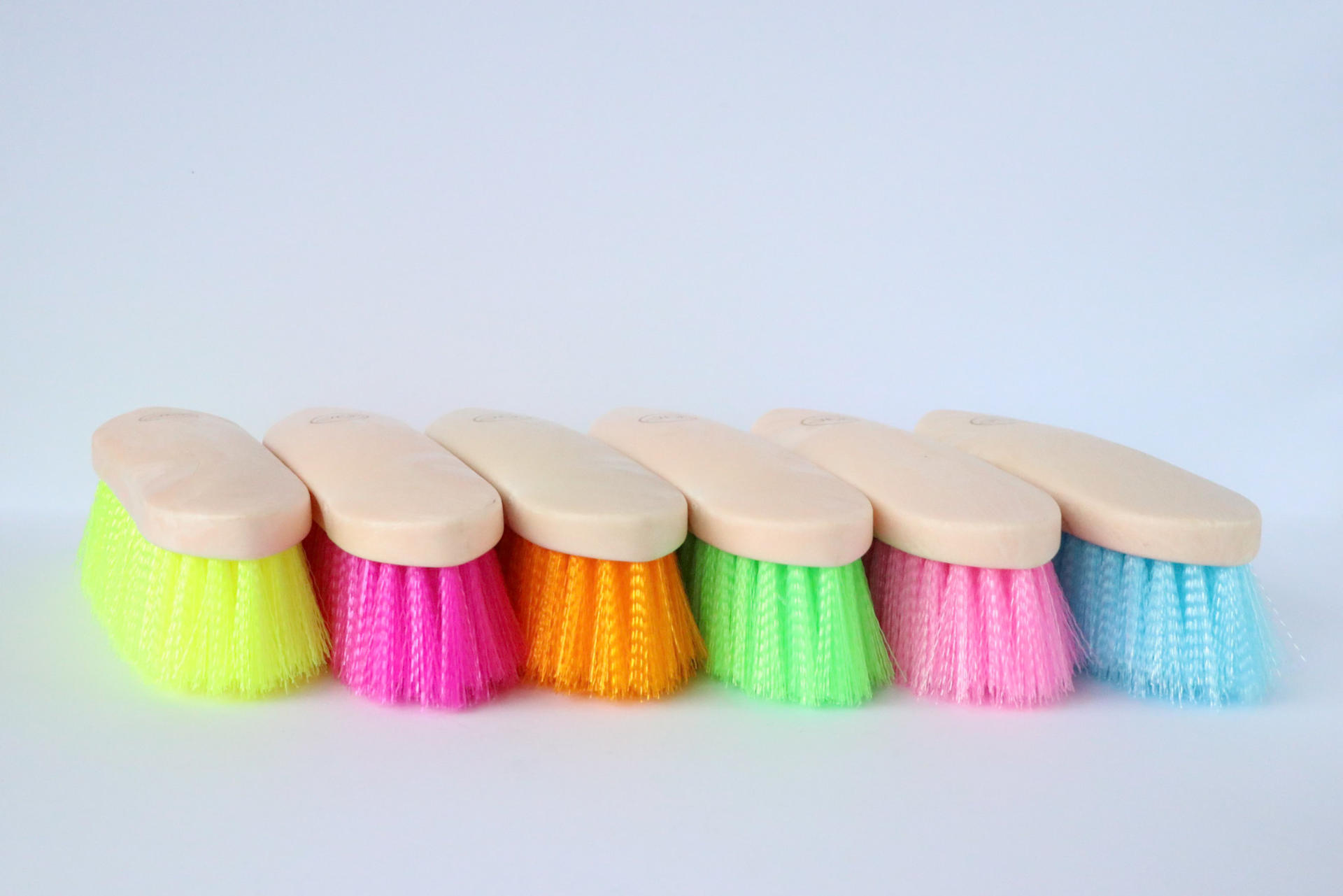 1601 Brushes 12 pcs Horse care
