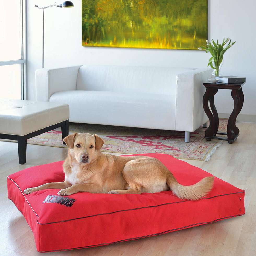 Rectangle dog bed small red with black edge