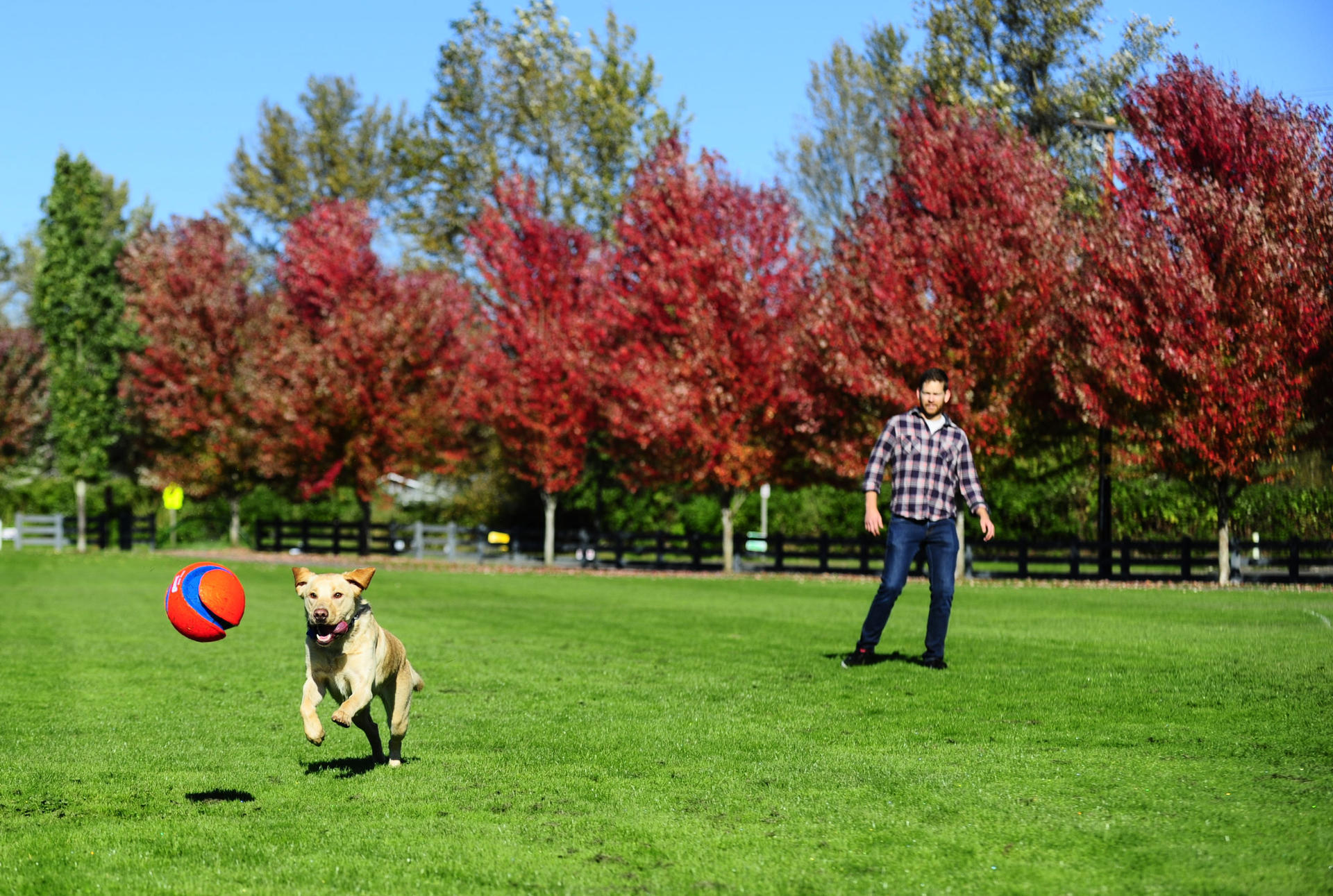 Kick Fetch 19 cm dog ball