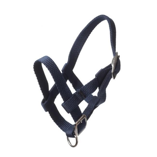 Adria Nylon headcollar