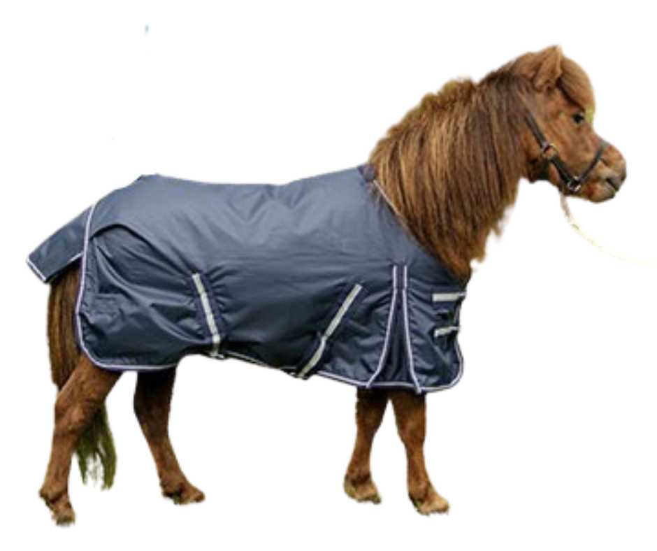 Harry and Hector Pony Outdoor Waterproof Rain rug