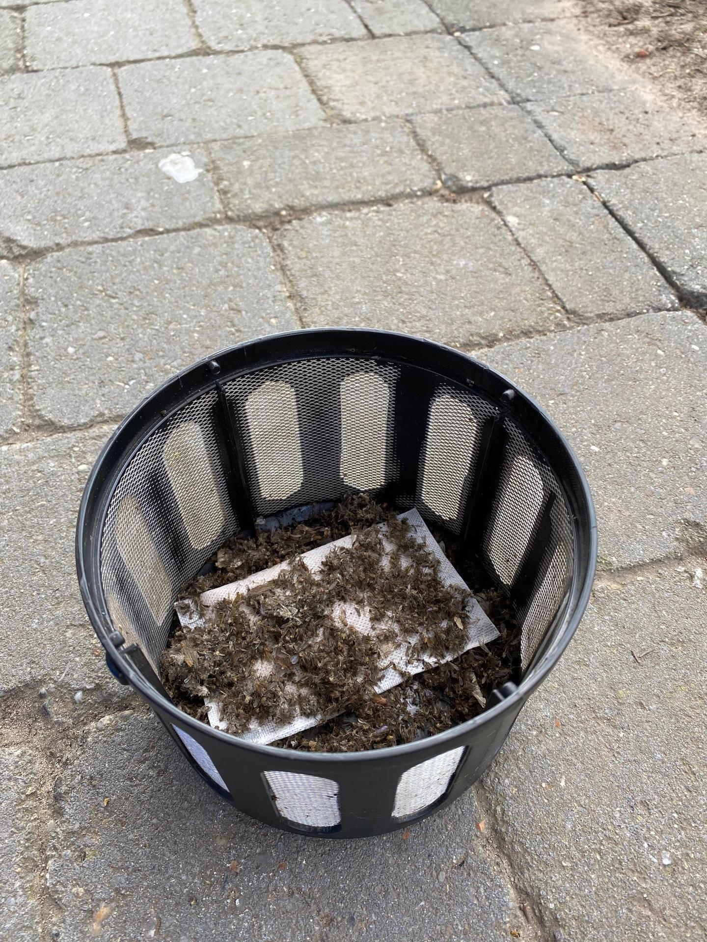 mosquito control shed pest control electric traps