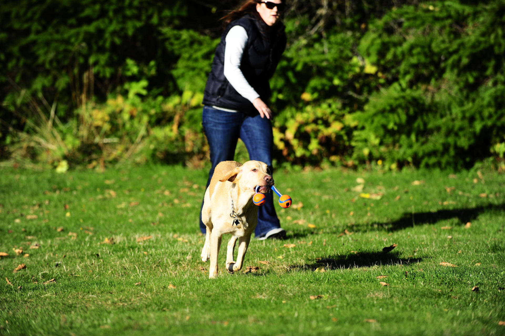 Ultra Duo tennis balls