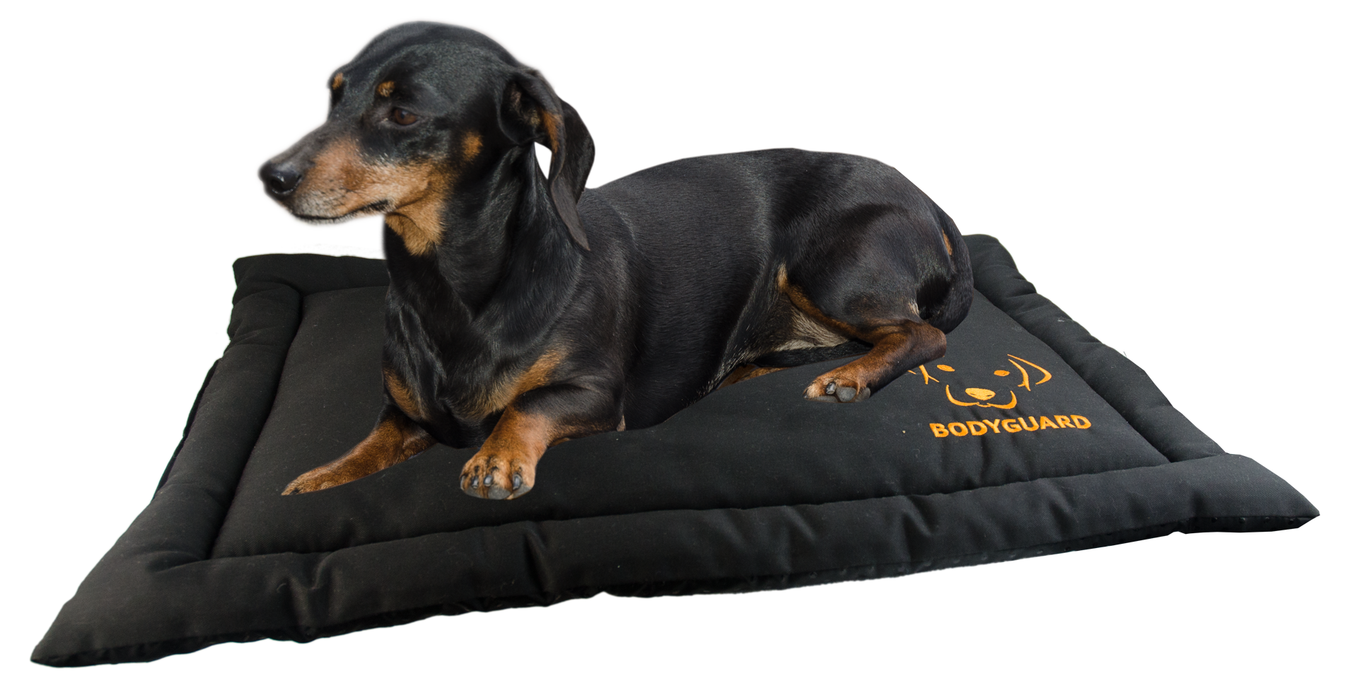 Dog rug for travel S black