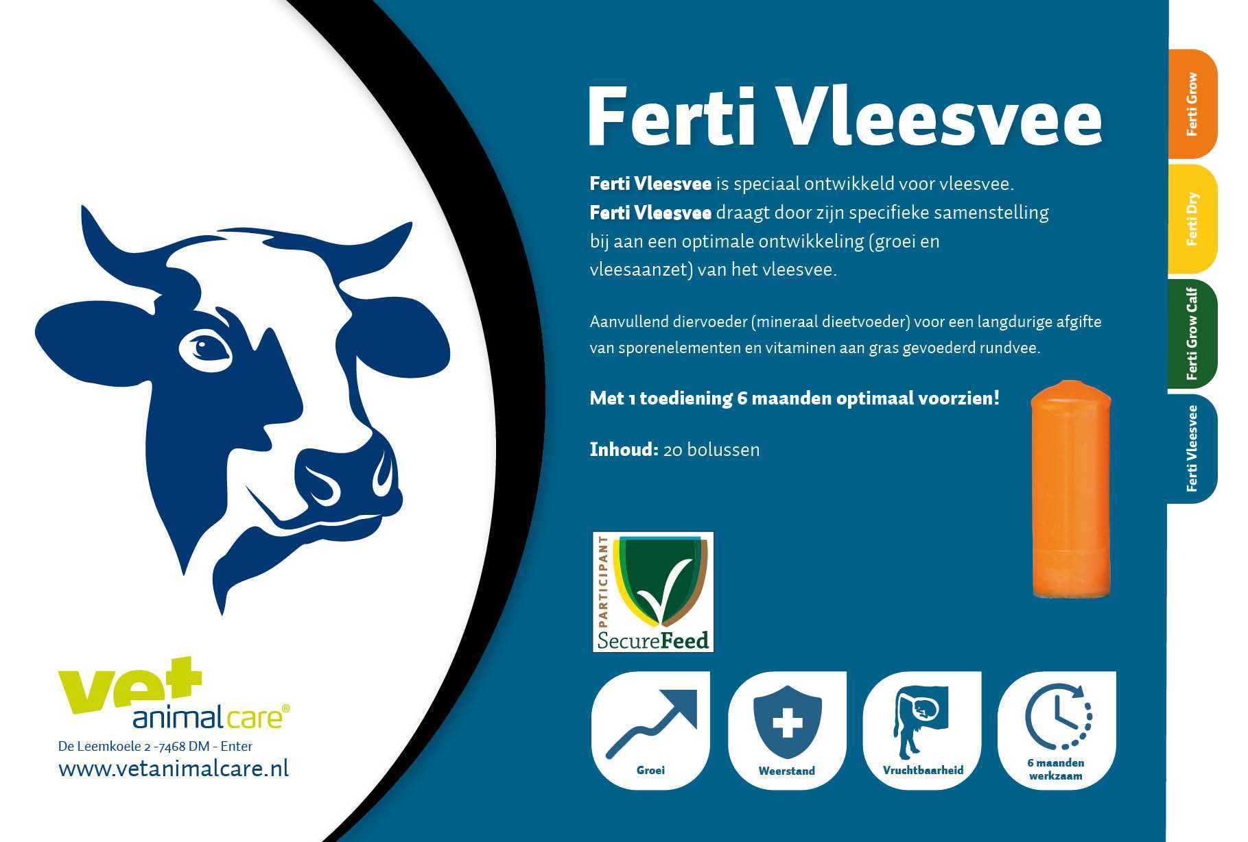 Lead for beef cattle Cattle minerals