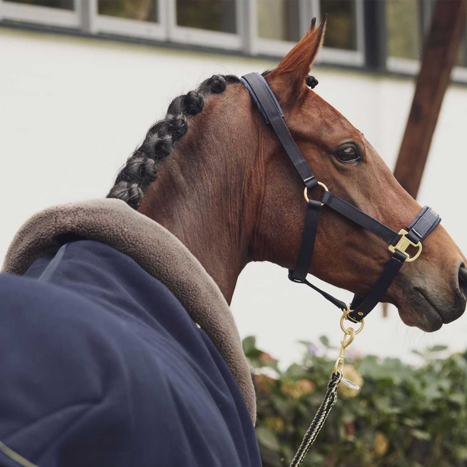 Polarfleece horse rug with neck