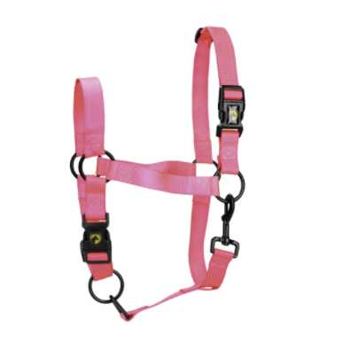 Monza Headcollar, halter