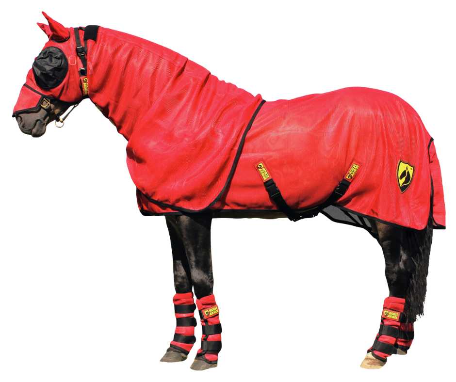 Porsche fly rug