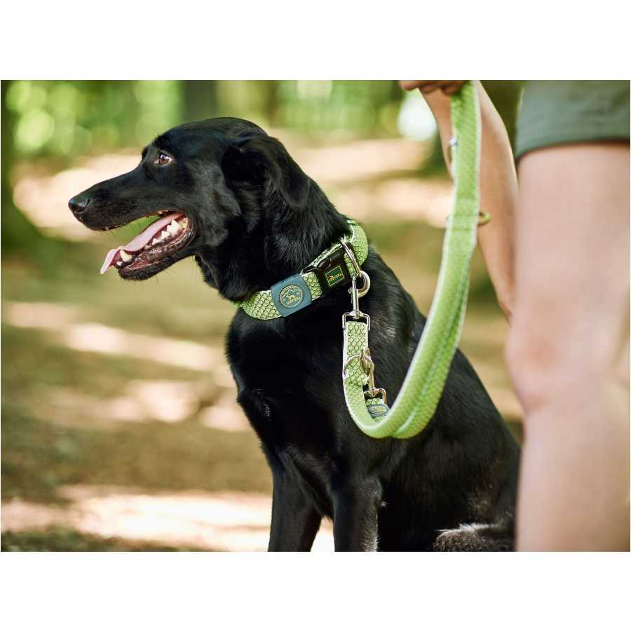 Hilo lime red multifunctional dog leash