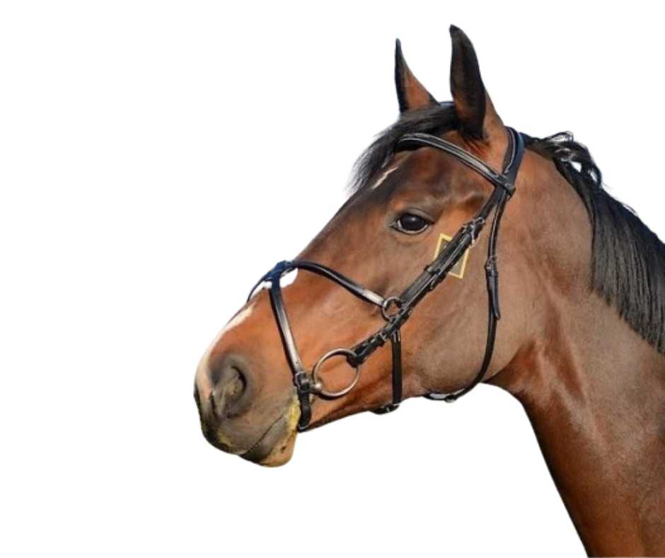 Luxury Mexican bridle