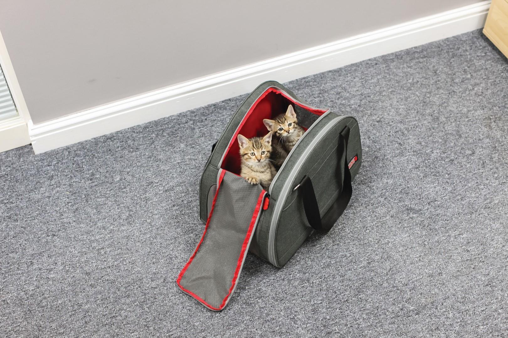 Bag and travel mat, 2 in 1 for pet transport