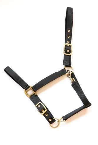 Reni headcollar, halter
