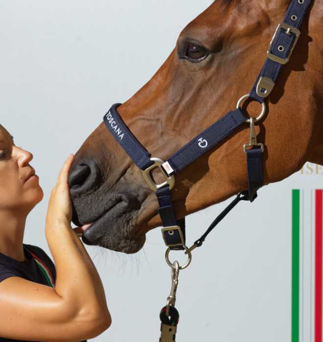 Halter with lead rope CT x Fise