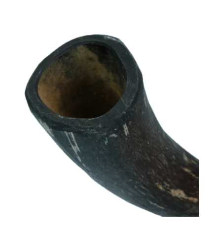 Horn shaped chewing bone L