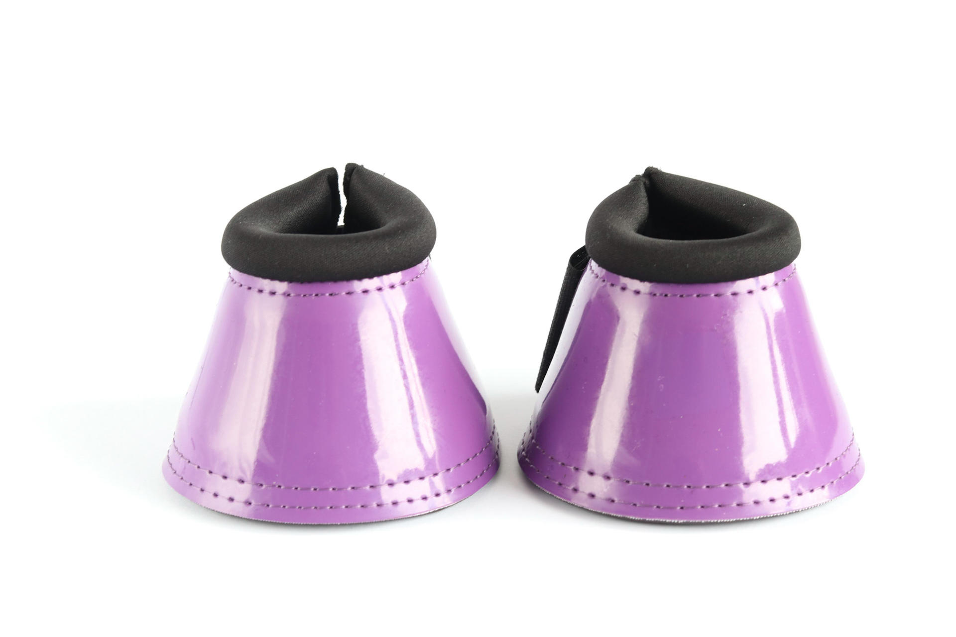 216 Harry and Hector under hoof polish royal blue shetland Horse foot protection