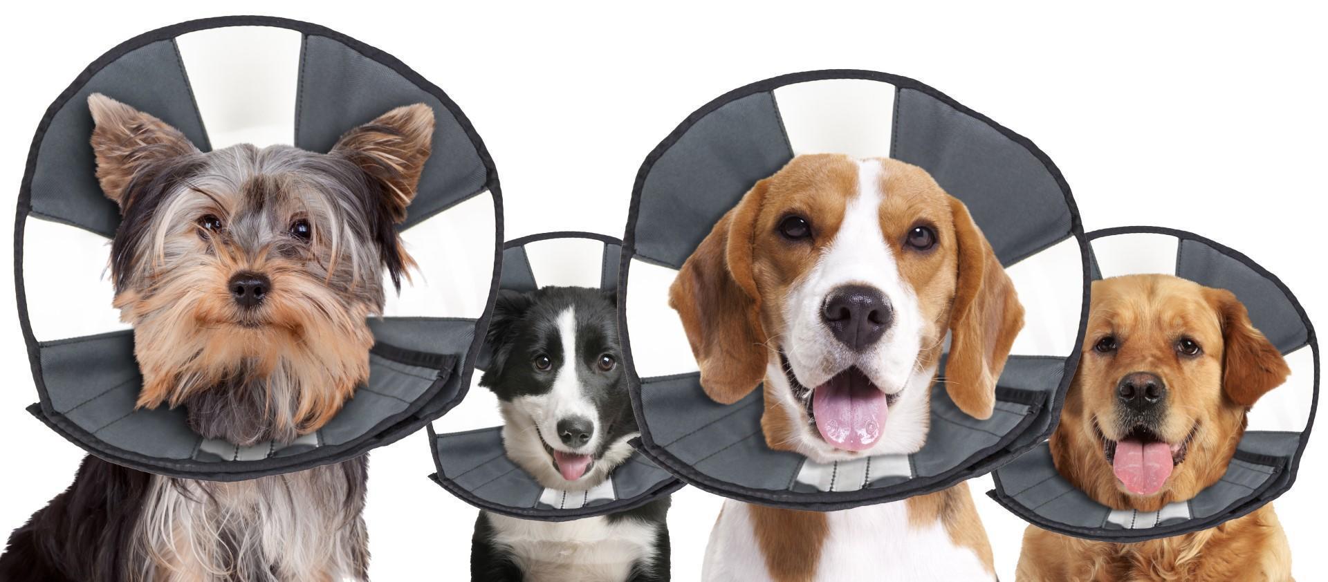 Dog protective collar with velcro S