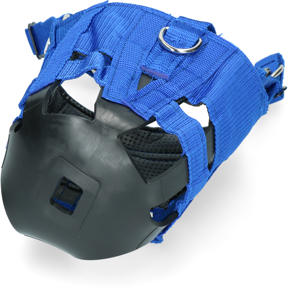 Horse grazing muzzle