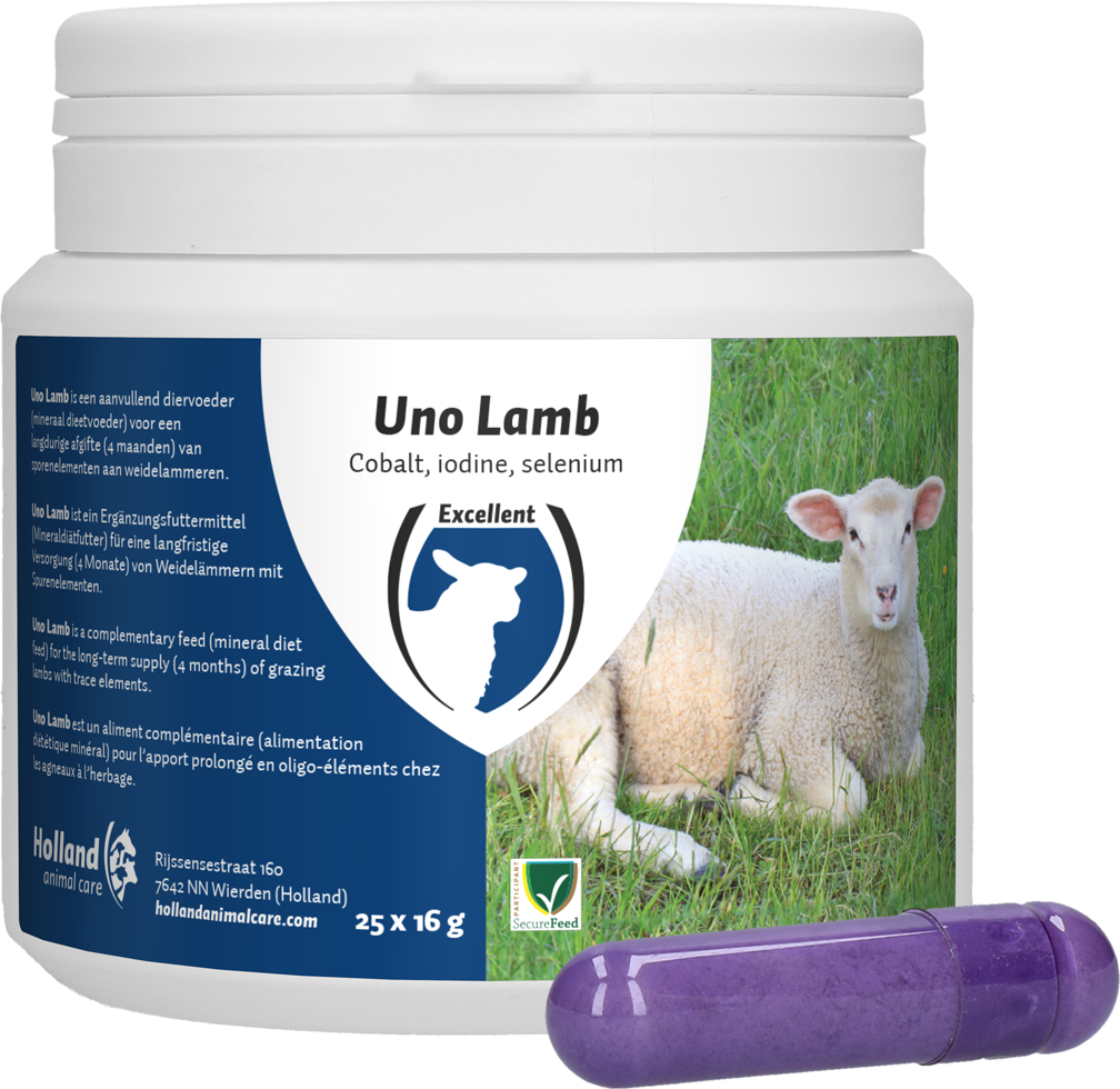 UNO lamb, mineral bolus, sheep, goat, health, vitamin, mineral