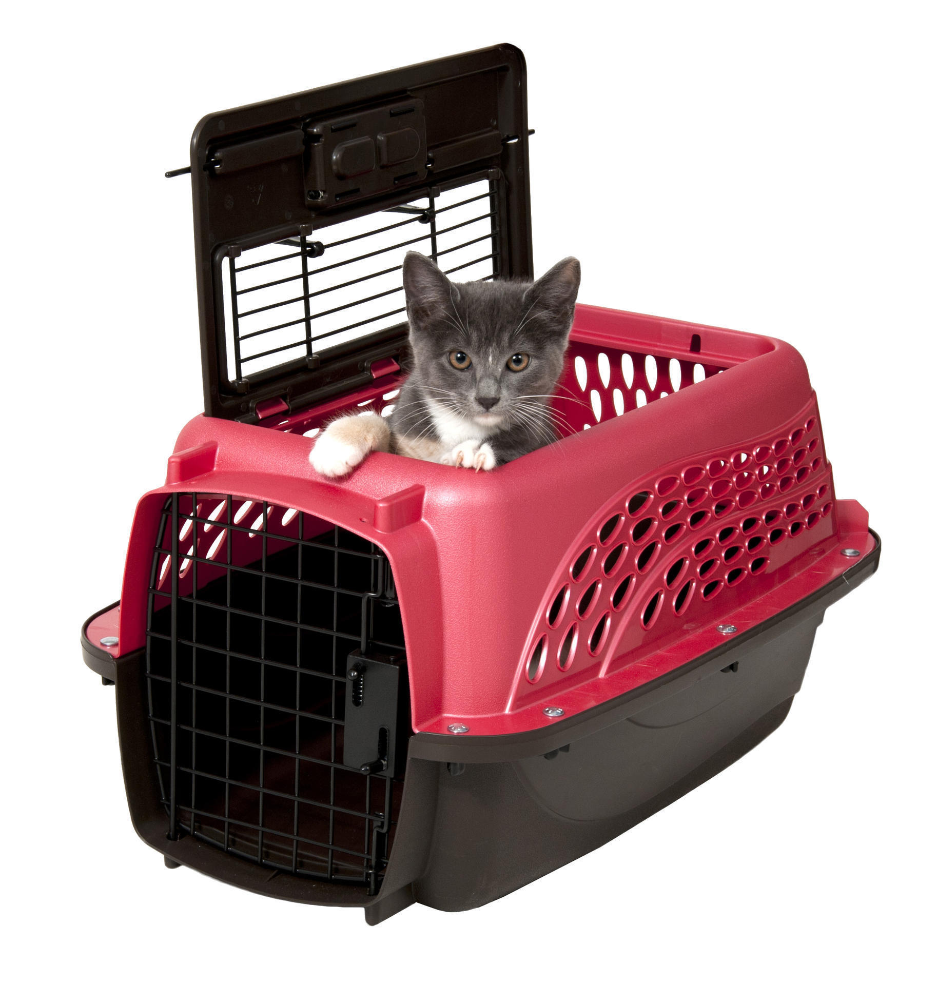 2 door top loading kennel XS pink, cat, dog transport, travel, carrier