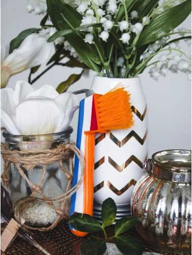 1641 Hoof care brush Dutch design 6 pieces horse care