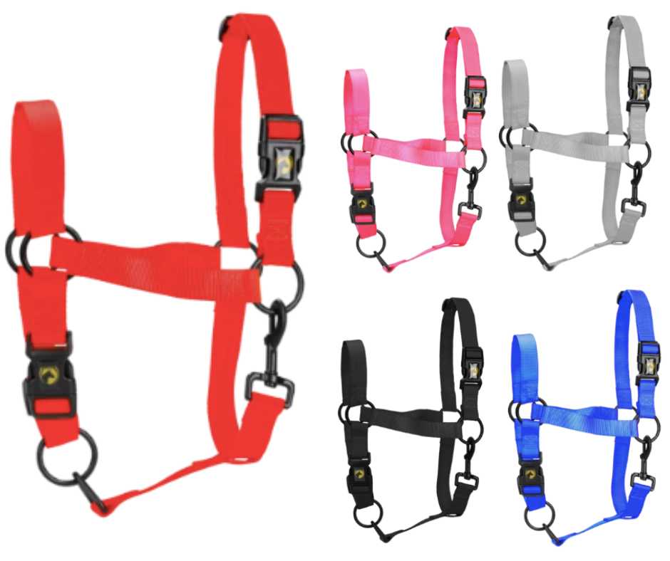 Monza Headcollar, halter