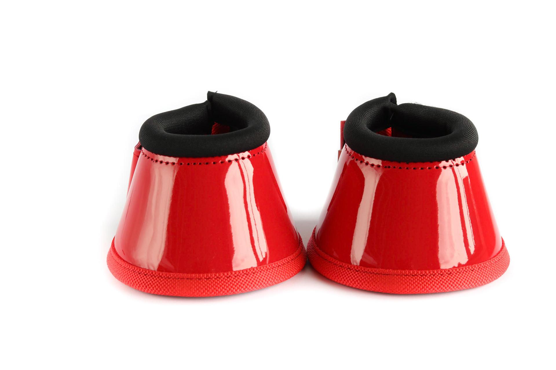 216 Harry and Hector under hoof polish royal blue shetland Horse foot protection