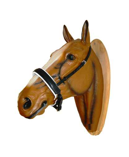 Bambino noseband