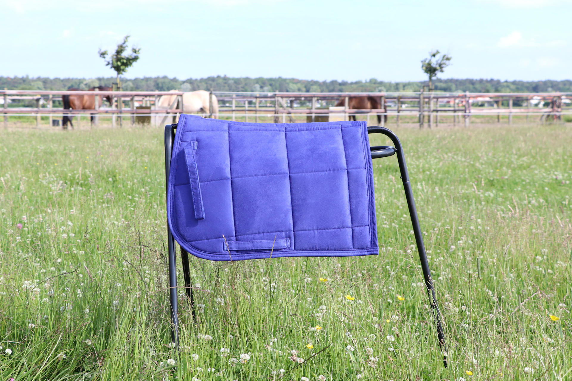 Saddle pads for Shetland pony