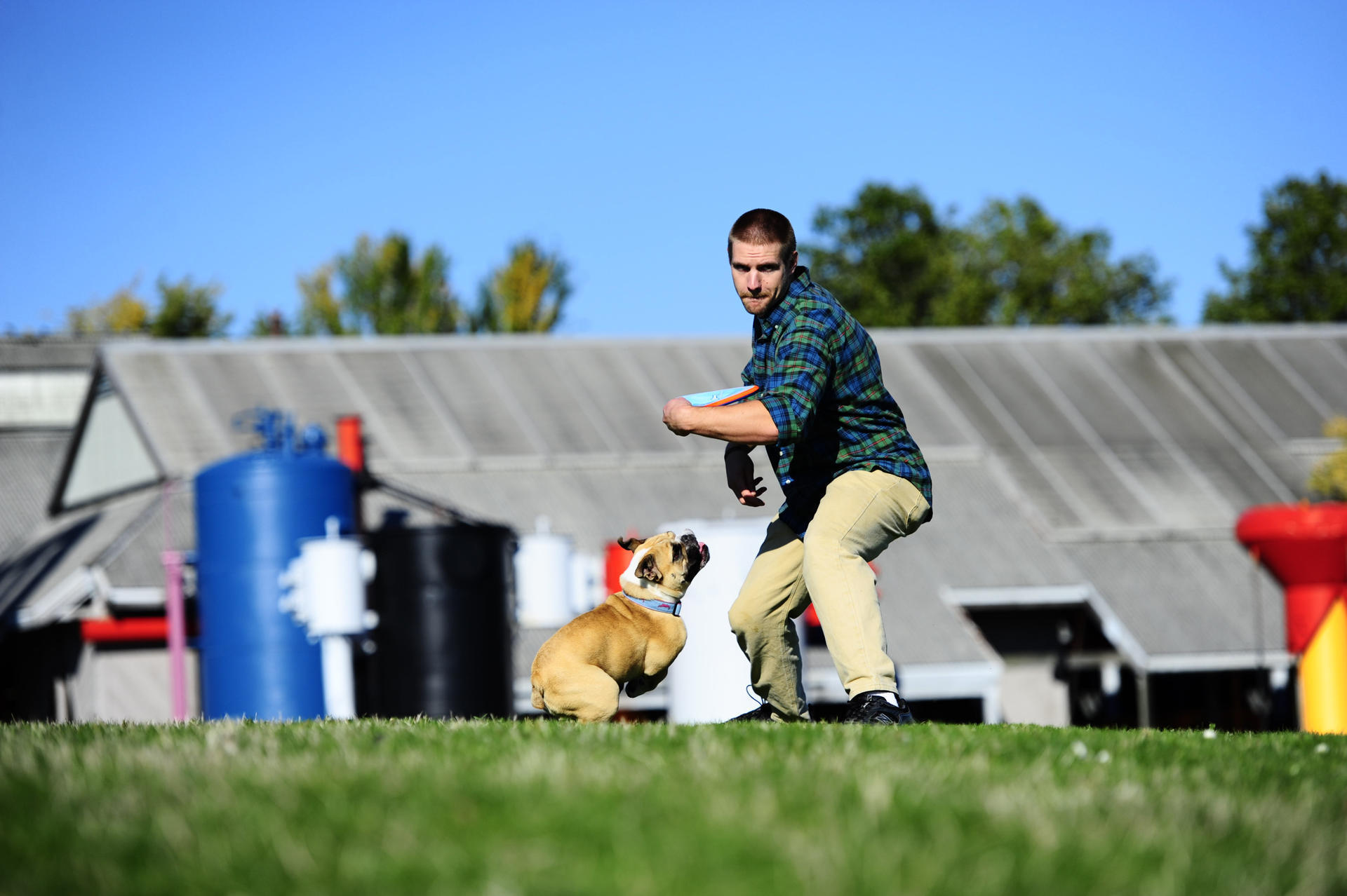 Frisbee small dog game