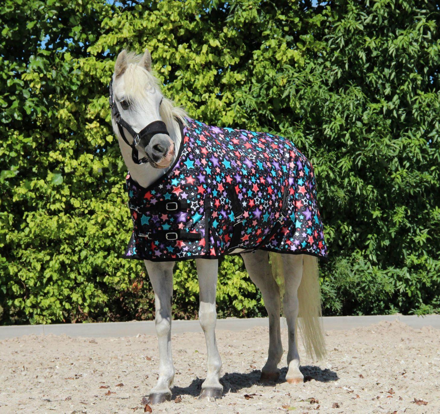 Harry and Hector Fantasy Outdoor Pony horse rug