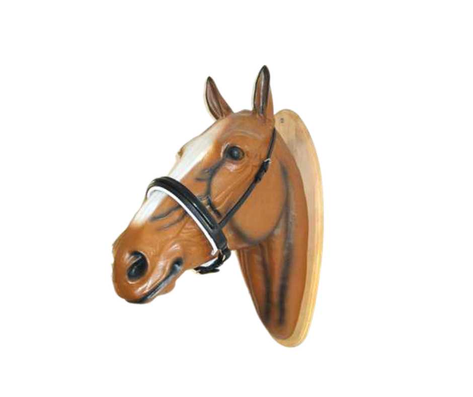 Bonsayo noseband