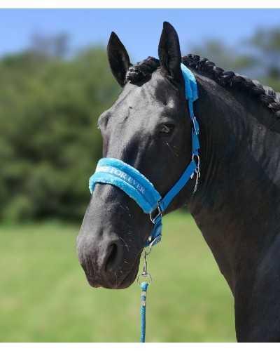 Lauro Headcollar, halter
