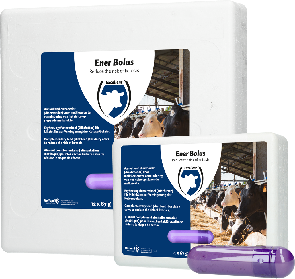 Energy Bolus against ketosis, cattle after parturition, calving