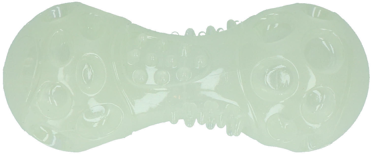 Illuminated bone shaped dog toy