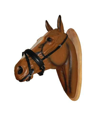 Bridle with extra wide noseband